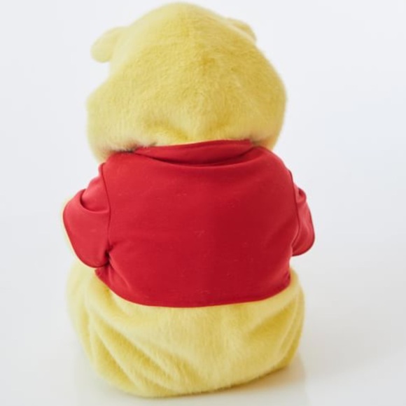 Winnie the Pooh costume - Picture 2 of 9